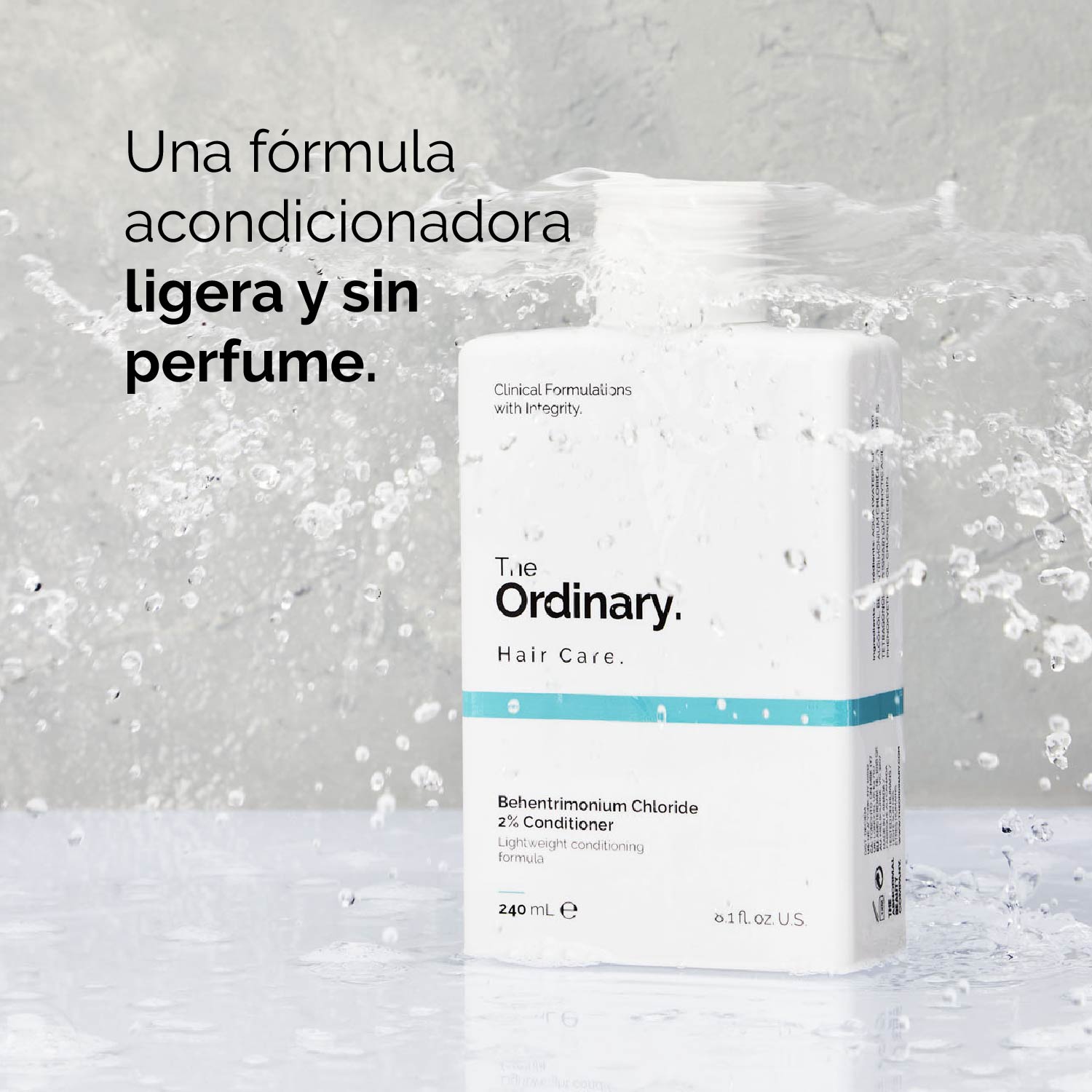 BEHENTRIMONIUM CHLORIDE 2% CONDITIONER (ACONDICIONADOR PARA CABELLO)